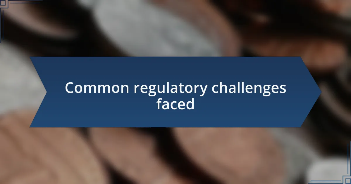 Common regulatory challenges faced